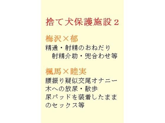 捨て犬保護施設2