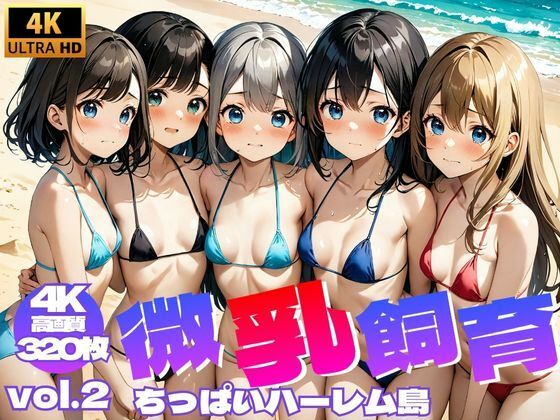 微乳飼育 〜 ちっぱいハーレム島 Vol.2【4K】【メスガッキー】