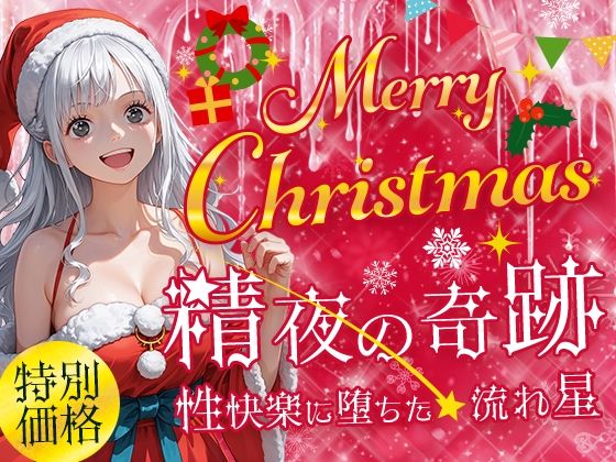 Merry Cristmas 精夜の奇跡 性快楽に落ちた流れ星【フワガールズ】